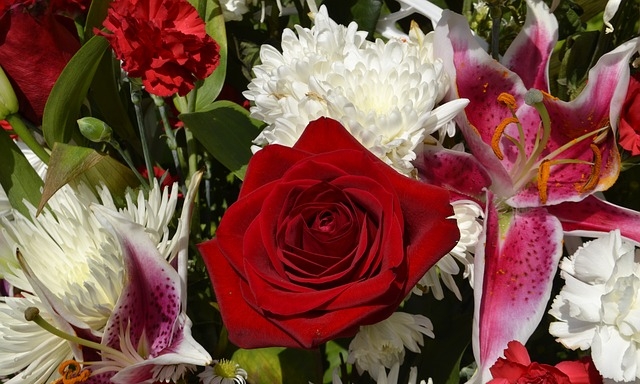 Vinaora Nivo Slider 3.x